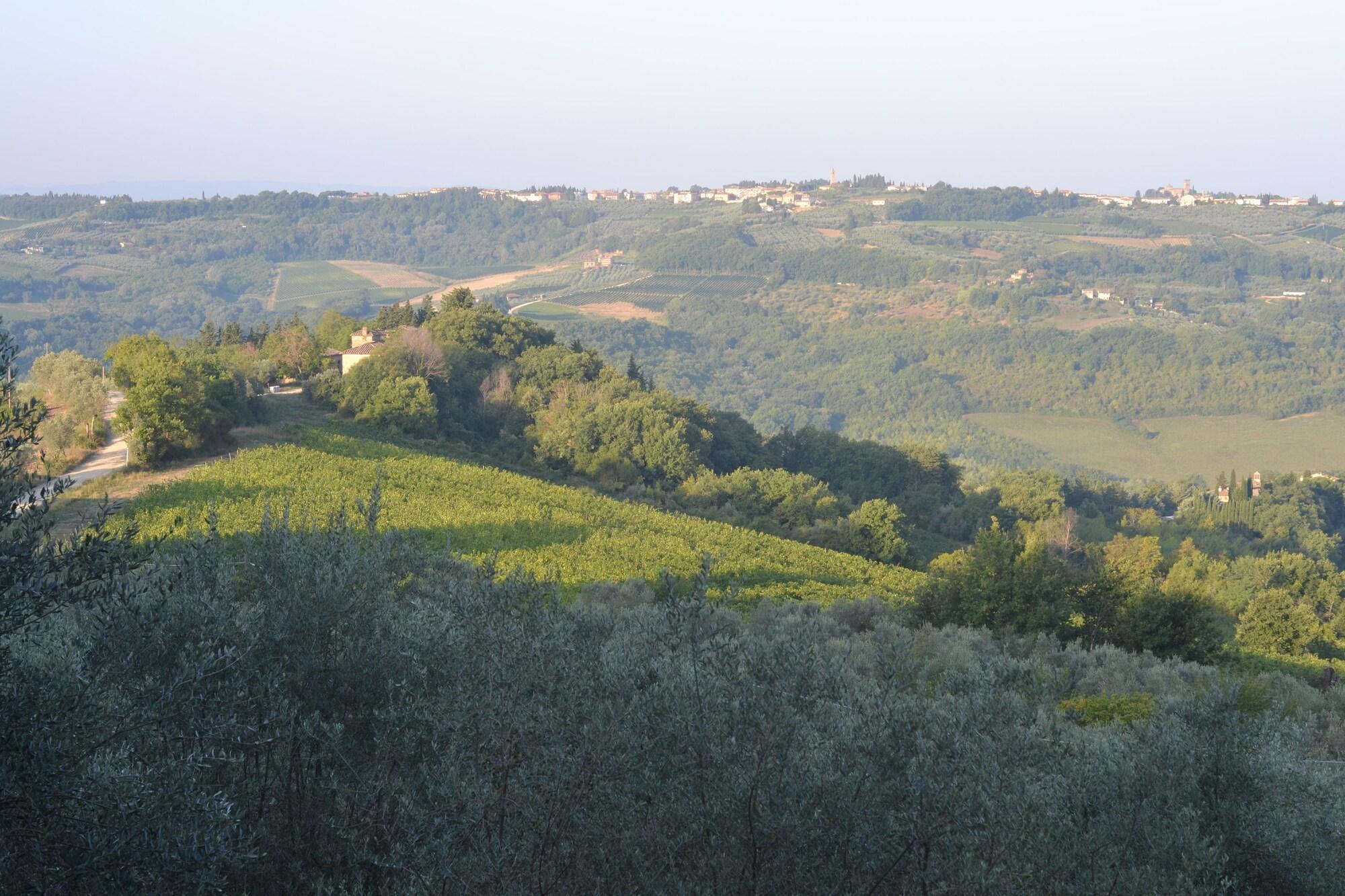 Villa Il Poggiale Dimora Storica San Casciano in Val di Pesa Exterior foto